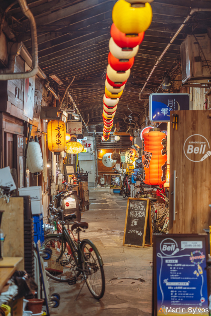 2025 Japon martin sylvos 19